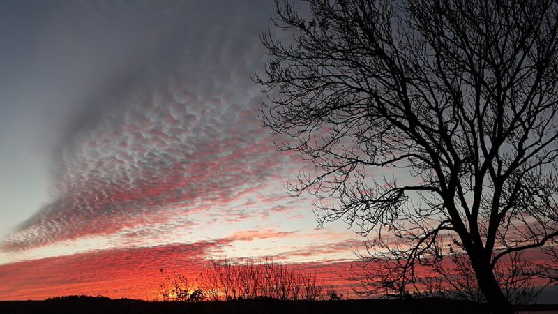 Schullsunset